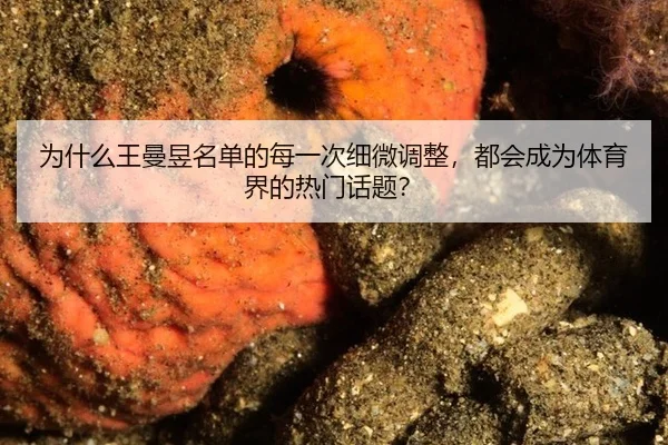 wei-shen-me-wang-man-yu-ming-dan-de-mei-yi-ci-xi-wei-tiao-zheng-du-hui-cheng-wei-ti-yu-jie-de-re-men-hua-ti-2-825.jpg
