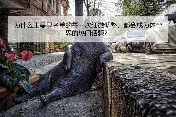 为什么王曼昱名单的每一次细微调整，都会成为体育界的热门话题？